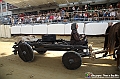 VBS_0945 - Palio di Asti 2024